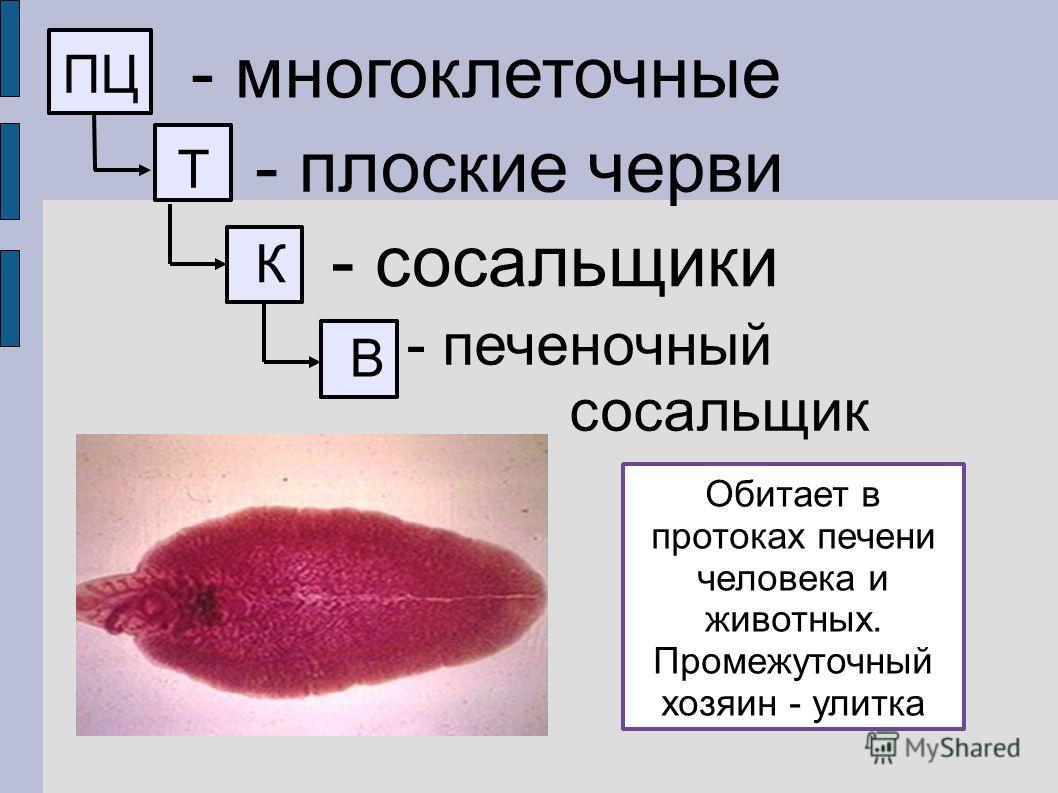 Как вывести с кракена